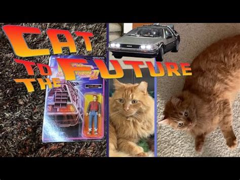 Cat To The Future NetBet
