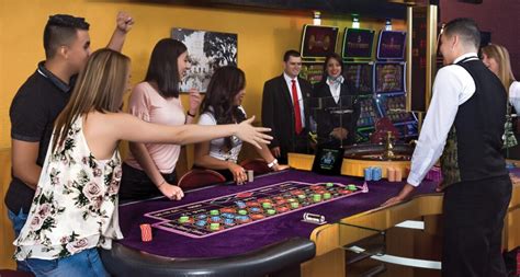 Monkey bingo casino Colombia
