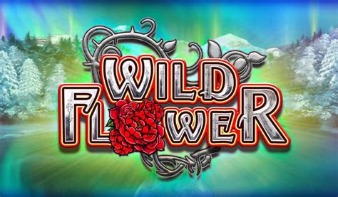 Play Wild Flower slot