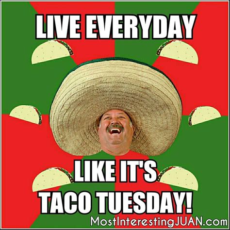 Taco Tuesday Novibet
