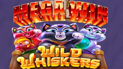 Whisker wins casino El Salvador